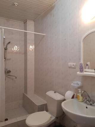 Гостевой дом Hotel Shele Гудаури Большой двухместный номер с 1 кроватью-10